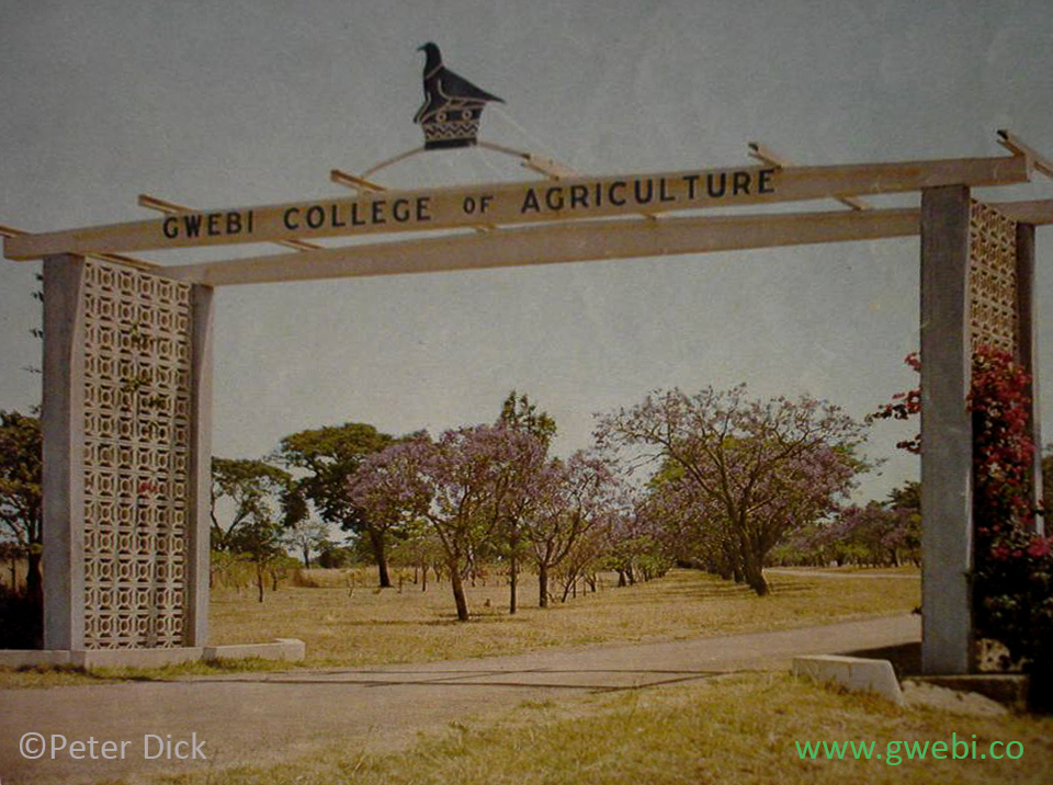 Entrance to Gwebi College of Agriculture on the Lomagundi Road near Salisbury